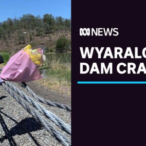 Wyaralong dam car crash kills two children as police examine number of factors | ABC News