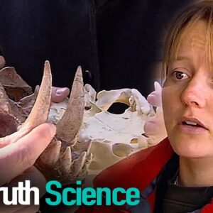 Dinosaur Detectives | Episode 3 | Docuseries | Reel Truth Science