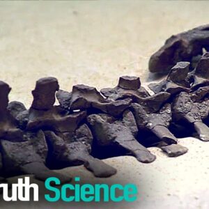 Dinosaur Detectives | Episode 4 | Docuseries | Reel Truth Science