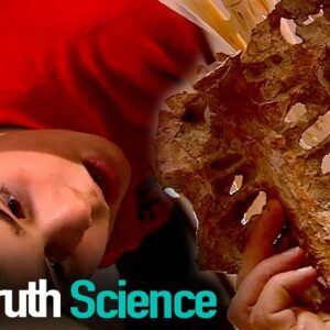 Dinosaur Detectives | Episode 5 | Reel Truth Science
