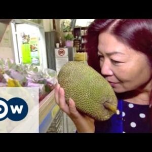 Little Hanoi in Berlin - a scent of home for vietnamese expats | DW Documentary