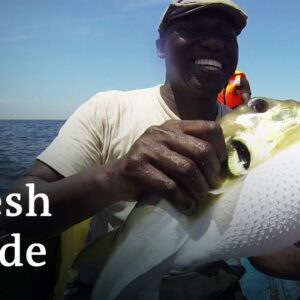 Fighting poverty with fish | DW Documentary