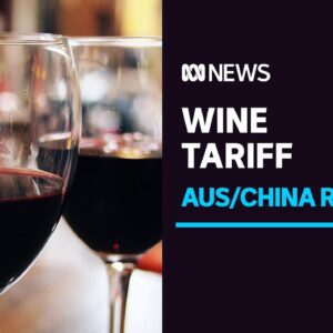 China to impose huge 'anti-dumping' tariffs up to 200% on Australian wine | ABC News