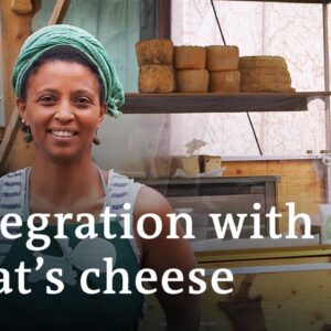 Making cheese in the Alps - a story of integration | DW Documentary