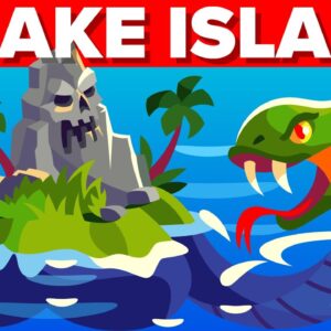 Most Dangerous Place on Earth - Snake Island