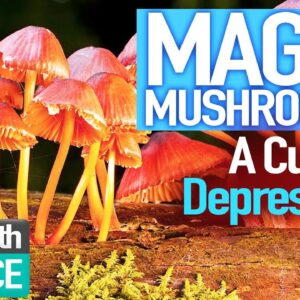 Can Magic Mushrooms CURE Depression? (Medical Experiment) | Magic Medicine | Science Documentar