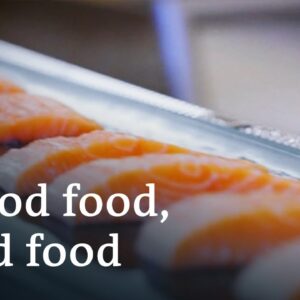 Trendy foods: Salmon and avocados | DW Documentary