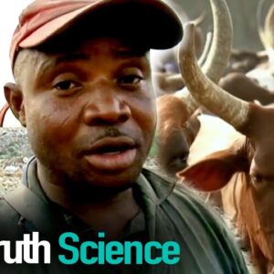 Welcome To Lagos | Full Documentary | Reel Truth Science