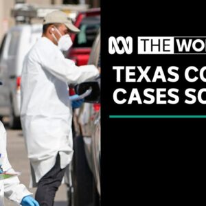 Coronavirus cases soar in Texas as US enters one of its busiest travel weeks of the year | The World
