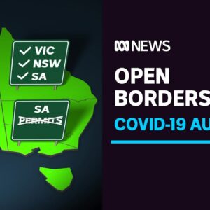 More travel freedom comes online after months of coronavirus border restrictions | ABC News
