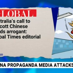 China's propaganda mouthpiece labels Pauline Hanson  ‘arrogant’ after calling for boycott