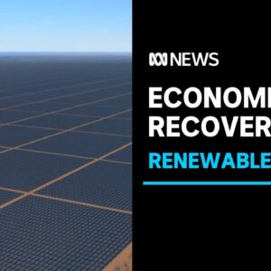 Renewable energy to aid the Northern Territory economy's COVID-19 recovery | ABC News