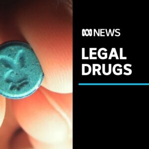 Ice, heroin and MDMA could be decriminalised in Canberra under proposal | ABC News