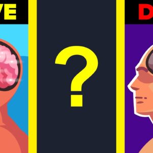 This is What Happens to Your Brain as You Are About to Die