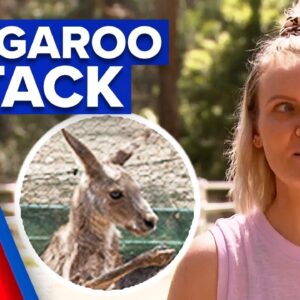 Woman blames perfume for kangaroo attack | 9 News Australia