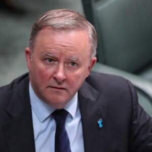 Albanese has revealed a ‘fundamental policy problem’ in the Labor Party