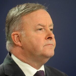 Anthony Albanese 'hasn't got the stocks' to continue being Labor leader