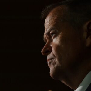 Bill Shorten didn't stay in parliament 'to be Albanese's shadow minister'