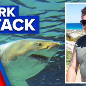 Father remembered after suspected shark attack | 9 News Australia