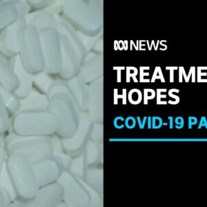 Drugs for tapeworm, vertigo and pancreatitis are being trialled as COVID-19 treatments | ABC News