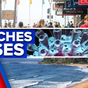 Coronavirus: South northern beaches embrace restriction eases | 9 News Australia