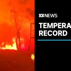 2020 was Australia's fourth-warmest year on record, hindering drought recovery | ABC News