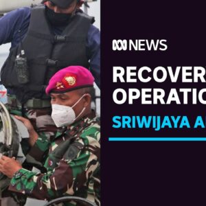 Divers try to pinpoint location of black boxes from crashed Sriwijaya Air Flight 182 | ABC News