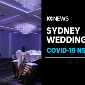 Wedding company fined for COVID-19 breach after hundreds attend Sydney wedding reception | ABC News