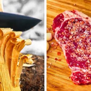 24 AMAZING OUTDOOR COOKING ideas to make your vacations better