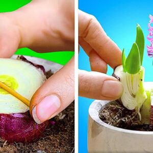 25 PLANTING HACKS for beginners and profi || by 5-minute crafts MEN