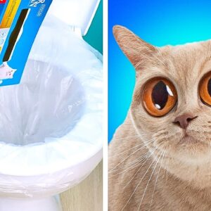 26 BATHROOM HACKS to solve your delicate problems