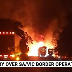 Multi-truck pile up on SA-Vic border partly due to ‘kneejerk’ border closure