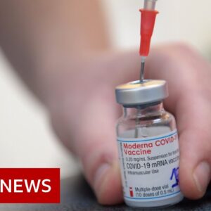 Coronavirus Vaccine: How the EU felt pressure over the jab rollout - BBC News