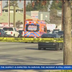 Road rage likely in shooting that wounded driver on Panama Lane