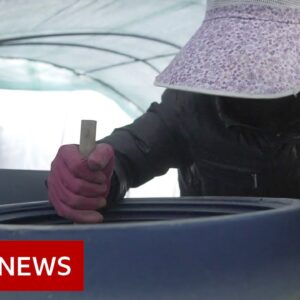 South Korea's 'hidden' migrant workers - BBC News