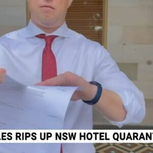 Steven Miles tearing up NSW hotel quarantine bill 'is embarrassing'