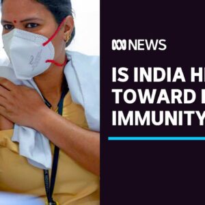 The curious case of India's plummeting coronavirus curve | ABC News