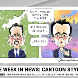 The week that was in news: 'Cartoon style'