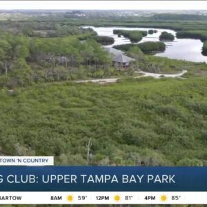 Walking Club: Exploring Upper Tampa Bay Park