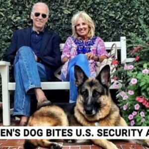 Joe Biden’s dog removed from the White House after ‘biting incident’