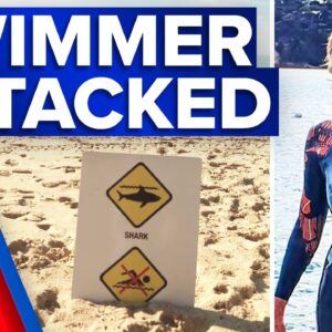 Surf life saver attacked by shark | 9 News Australia