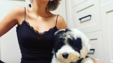 E78C2D46 62F5 4329 83F9 65CF82845069