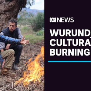 After 160 years, Aboriginal cultural burning returns to Coranderrk Station | ABC News