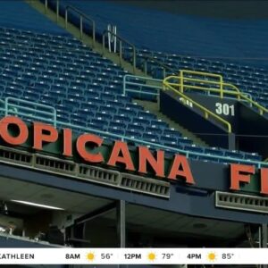 Tampa Bay Rays fans will see big safety changes at Tropicana Field this year