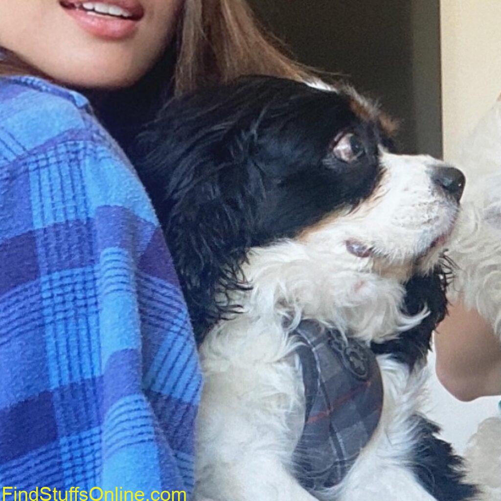 Olivia munn hot images 23