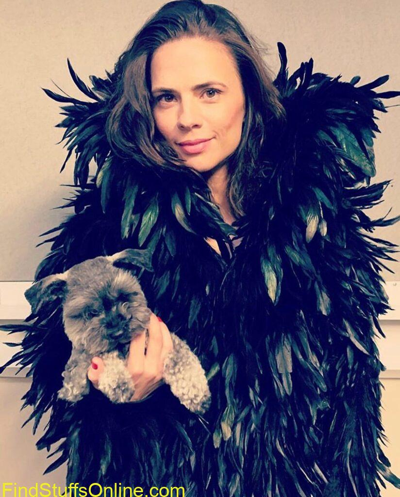 hayley Atwell hot images 35