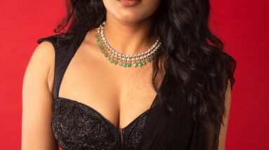 hebah patel in saree images 2